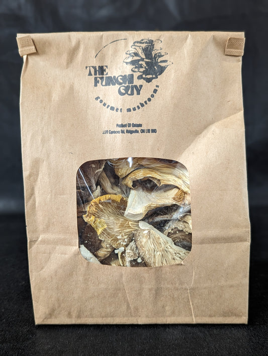 Dried Lion's Mane Mushrooms