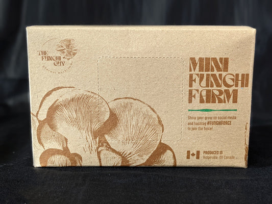 Mini Funghi Farm Hobby Grow Kit